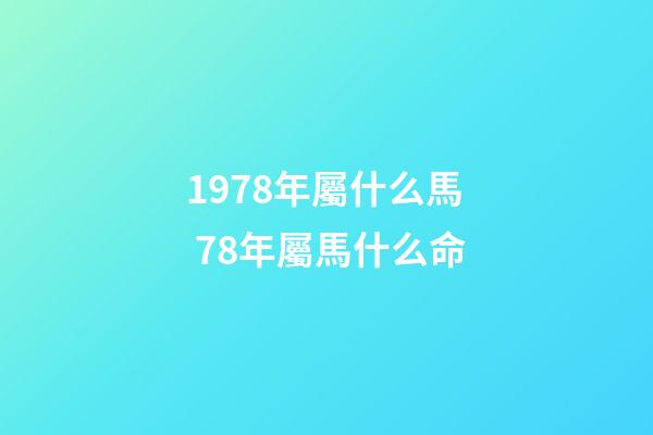 1978年屬什么馬 78年屬馬什么命